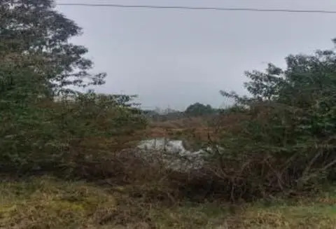 Industrial En Venta En Mariquina
