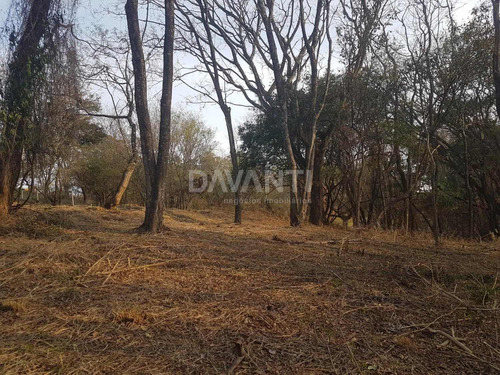 Imagem 4 de 9 de Terreno À Venda Em Joaquim Egídio - Te116312