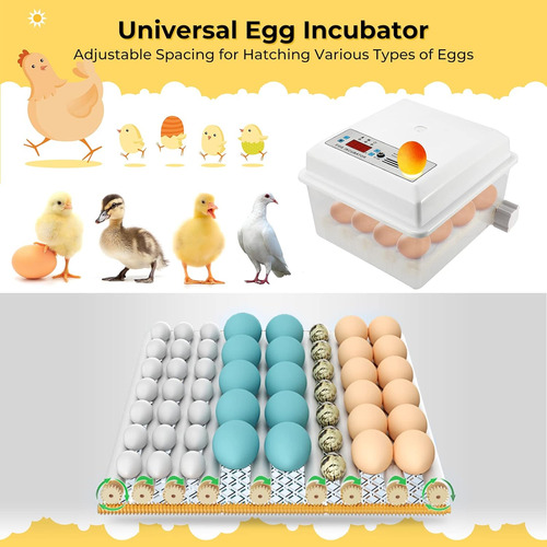 Powlab Incubadora De Huevos Totalmente Automática Para 16 Hu