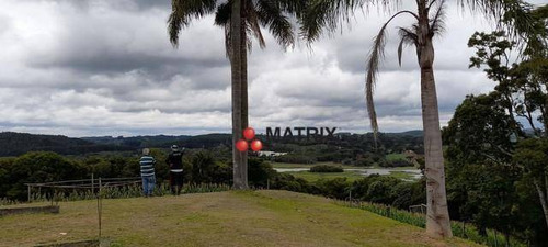Imagem 9 de 10 de Área À Venda, 240000 M² Por R$ 6.000.000,00 - Jardim Social - Campo Largo/pr - Ar0006