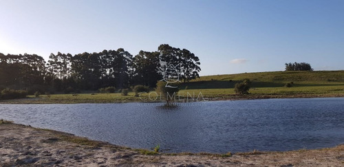 Imagen 6 de 13 de Campo De 20 Has Muy Cerca Del Faro Jose Ignacio - Consulte !!!!!! - Jose Ignacio