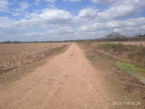 Imagen 13 de 28 de Finca En Venta Guarico
