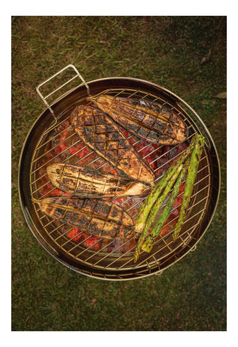 Asador Al Carbón Tcp 400 De Acero Inoxidable Gris