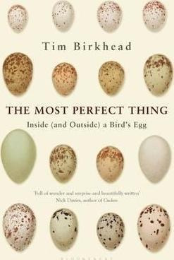 The Most Perfect Thing - Tim Birkhead (paperback)