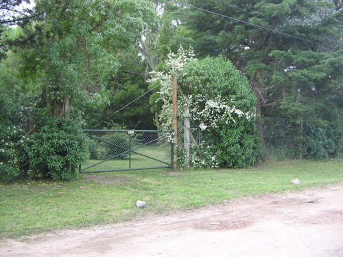 Quinta Casa A Reciclar  Fracción De 3811m2