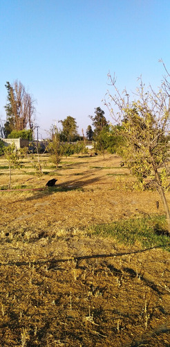 Camino Lo Echevers Km13 (73963)