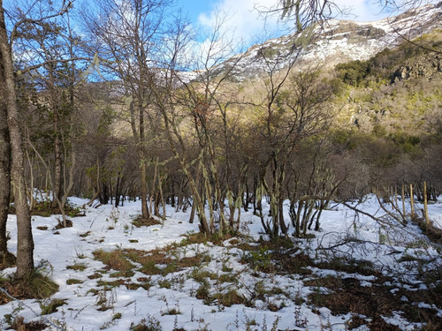 Sitio C/agua Los Pellines - Las Trancas - Pangue Propiedades