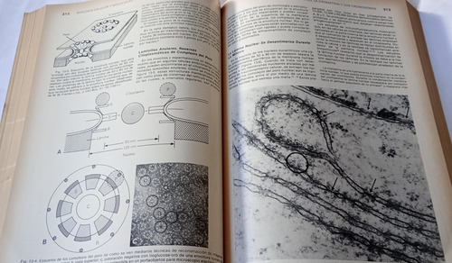 Biologia Celular Y Molecular De Robertis El Ateneo 1992 (Usado)