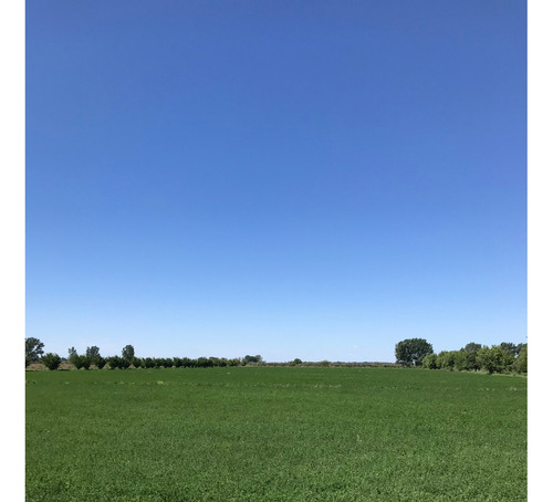 Finca Gral Alvear, 71 Hcts,en Producción Y Con Equipamiento.