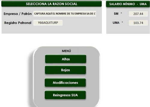 Carga Batch Movimientos Imss Idse-sua