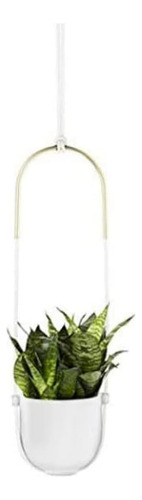 Umbra 1009571-660 Bolo Hanging Planter For Succulents And