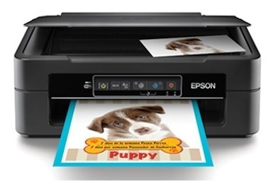 Impresora Epson Xp 241 Multifunción Wi-fi Netpc