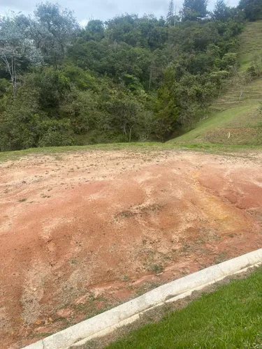 Lote En Venta En Peñol. Cod V11190