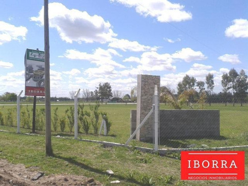 Imagen 3 de 4 de Lote Industrial - La Reja
