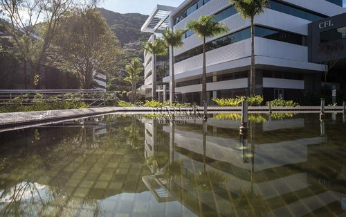 Imagem 15 de 30 de Sala Comercial Para Locação, Saco Grande, Florianópolis - . - Sa0018