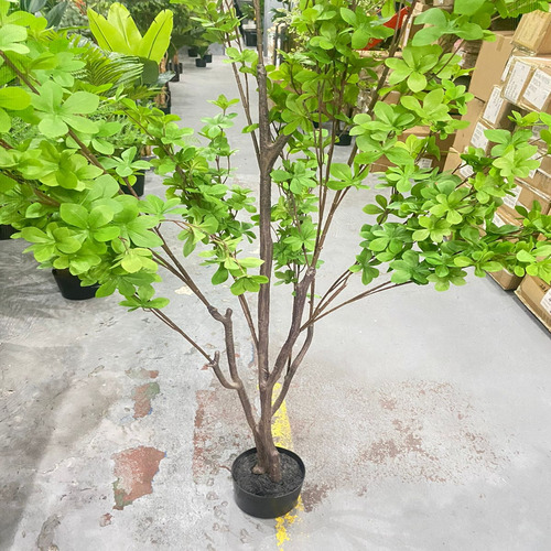 Arvore Artificial Sino Japonês Planta Para Decoração 1.90m