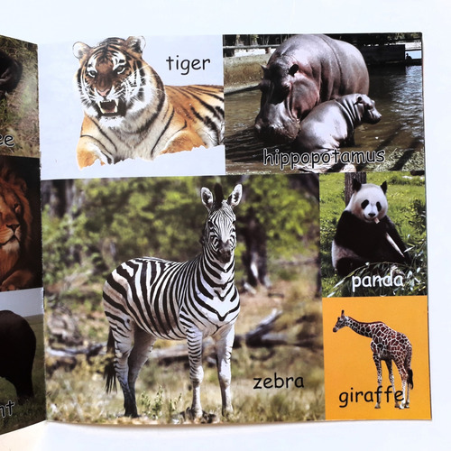 Mi Primer Libro De Animales En Inglés