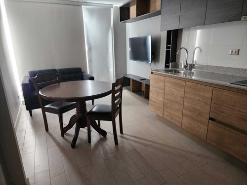 Arriendo Amoblado Nuevo Centro Concepcion (84964)