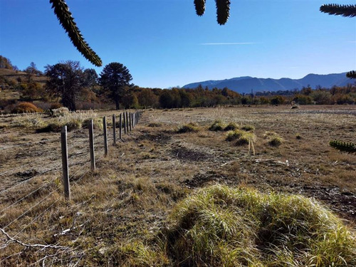Terreno 5.000 M2 Sector Alto Centinela Orilla De Río Cautín