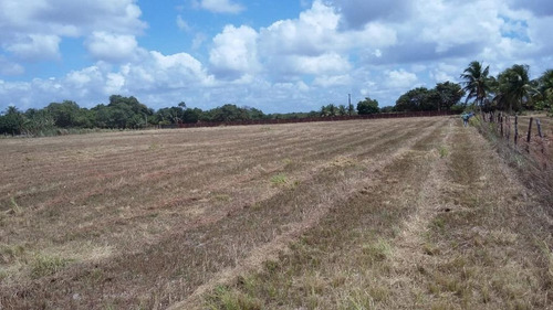 Imagem 23 de 30 de Chácara Com 3 Dormitórios À Venda, 58105 M² Por R$ 900.000,00 - Mendes - São José De Mipibu/rn - Ch0009