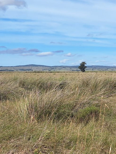 Vendo Campo De 5has Esquinero, Sobre Ruta 19 A 20km Del Chuy, Paraje Isla Negra A 7 Km De 18 De Julio