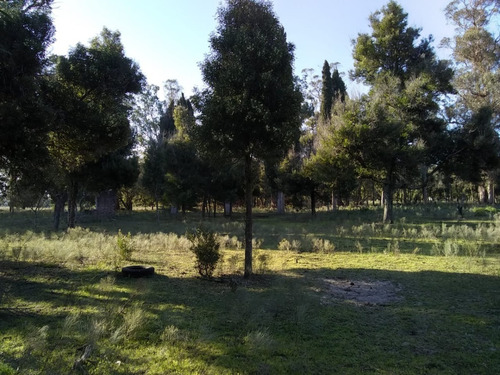 Imagen 4 de 7 de 4.92 Hectáreas(las Tahonas, Partido De Punta Indio).