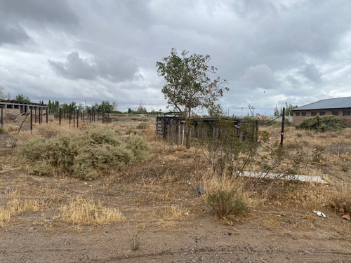 Imagen 11 de 15 de Chacra En Alquiler - Galpón - Ciudad Industrial - Neuquén