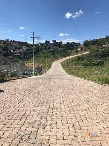Imagem 5 de 11 de Terreno À Venda, 696 M² Por R$ 315.000,00 - Mariland - Caxias Do Sul/rs - Te0255