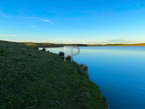 Imagen 8 de 13 de Campo En Venta Garzon 8 Has #1698