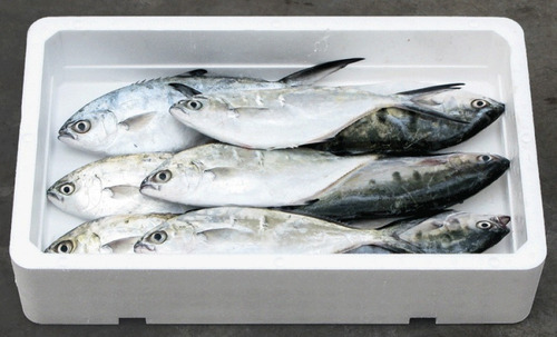 Caixa De Isopor P/ Alimento Pescado 4kg Isoterm Cor Branco