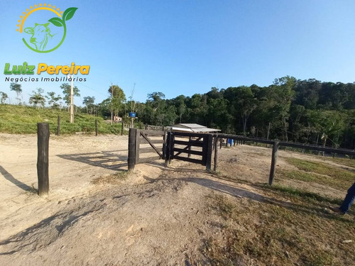 Imagem 12 de 15 de Fazenda À Venda Em Pacajá - Pa - 968 Hectares (pecuária) - 1996