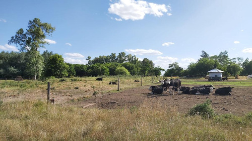 Venta Campo  En Lobos 16 Has - Paraje Las Chacras