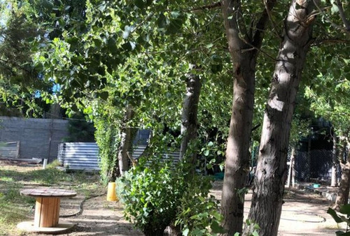 Lote De 1300 Mts2 Forestado Con Dos Departamentos