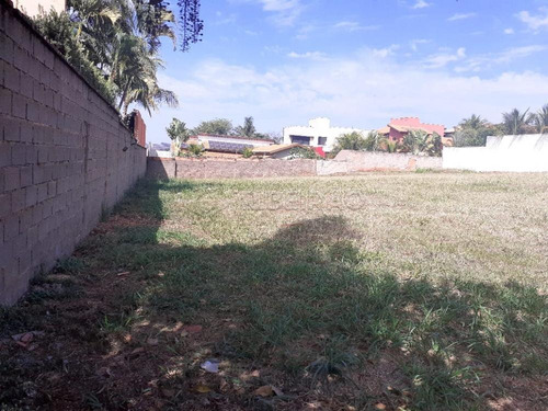 Imagem 3 de 7 de Terrenos - Ref: V6235