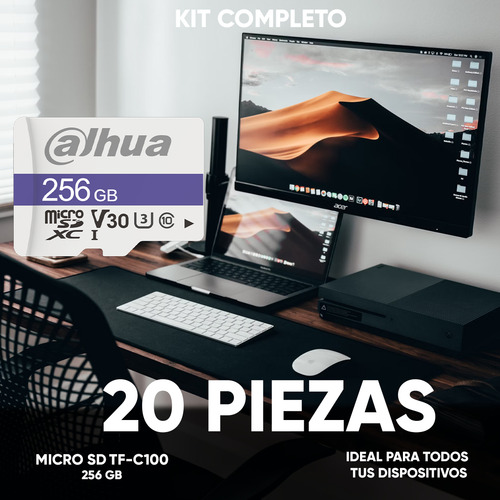 Dahua Kit De 20 Memorias Microsd Tf-c100/256gb Lectura De Hasta 90 Mb/s Escritura De Hasta 95 Mb/s Resistente A Altas Y Bajas Temperaturas Impermeable Antimagnética Y Anti Rayos X