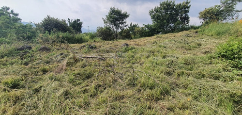 Imagen 2 de 3 de En Venta Amplio Terreno En Col. San Juan Texcalpan En Atlatlahucan Morelos Con Conexion A Servicios