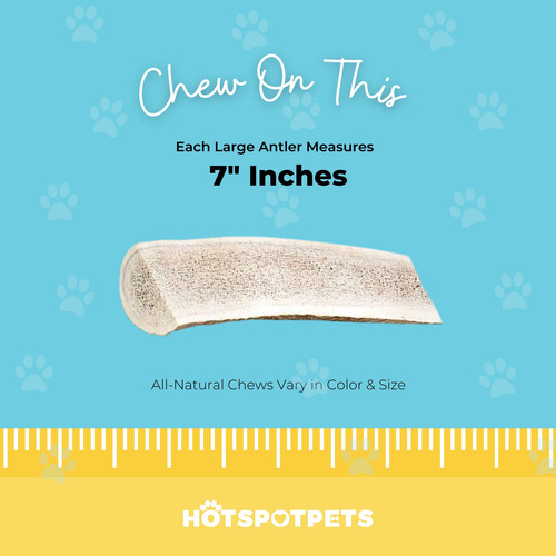 Dog Chews Hotspot Pets, Cuernos De Alce Divididos De Primera
