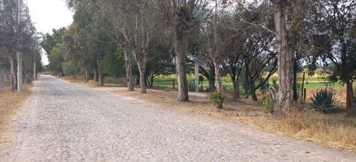 Imagen 6 de 14 de Terreno Campestre Tequisquiapan Querétaro Sup. 8,245.54 Mts