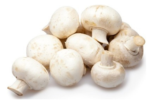 Micelio Champiñon 2 Kg (semilla Agaricus Bisporus)
