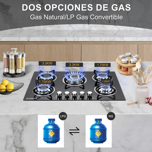 Parrilla De Gas Empotrable de mesa XIUDEEN XD5001G 5 quemadores de gas GN GLP aplicables cristal templado color negro