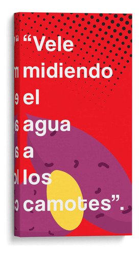 Canvas Lab Cuadro Vele Midiendo 004 60x120, Jorge Méndez