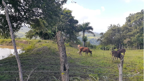 Te Vendo Finca En Puerto Plata.