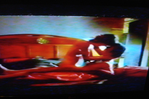Vhs La Educación De Las Hadas ( Ricardo Darín, 2006) (Usado)