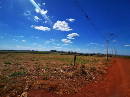 Imagem 9 de 12 de Rea Residencial / Comercial / Industrial, De 39.300 M², Na Cidade De Cravinhos - Ar00001 - 68301899