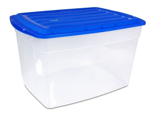 Caja Organizadora Plástica Con Tapa 14 Lt - 30 X 19 X 20 Cm