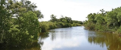 Quinta En Venta En Jose Ignacio