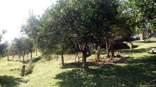 Imagem 13 de 15 de Chácara Para Venda Em Taquara, Santa Cruz Da Concórdia - Jvch011_2-1266711
