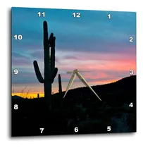 Comprar 3d Rose Arizona-organ Pipe Saguaro Cactus-bates Montañas S-s