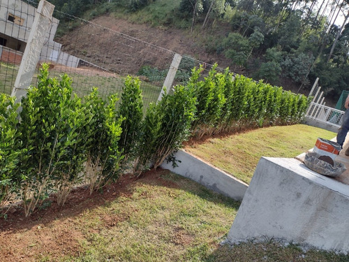 Imagem 5 de 16 de Casa Novíssima No Tamboré 1 - Ca03076 - 69810170