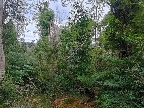Parcela De 5000m2, Con Rol Propio D1, En Carretera Austral